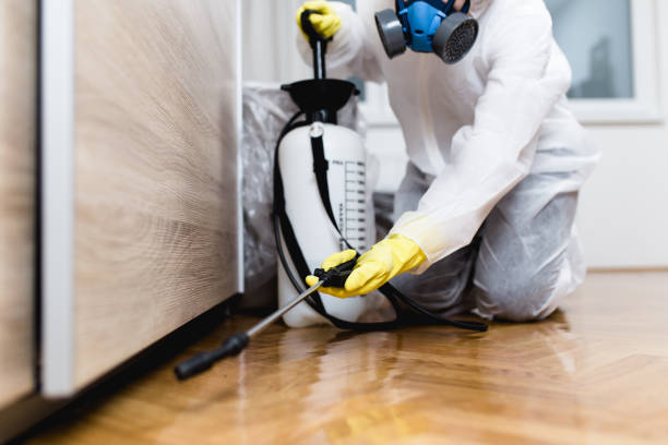 Best Termite Control Services  in Bingham Farms, MI
