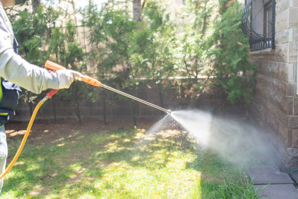 Best Affordable Pest Control Services  in Bingham Farms, MI