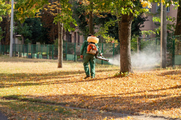 Best Best Pest Control Companies  in Bingham Farms, MI
